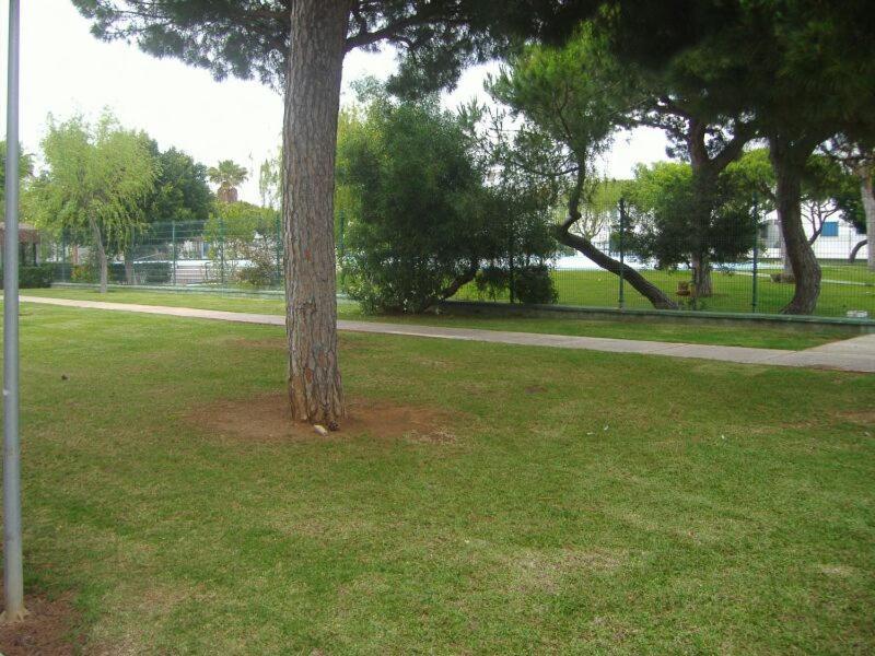 דירות צ'יקלנה דה לה פרונטרה Playa De La Barrosa La Almadraba IV Fase "Interior" B-3 מראה חיצוני תמונה